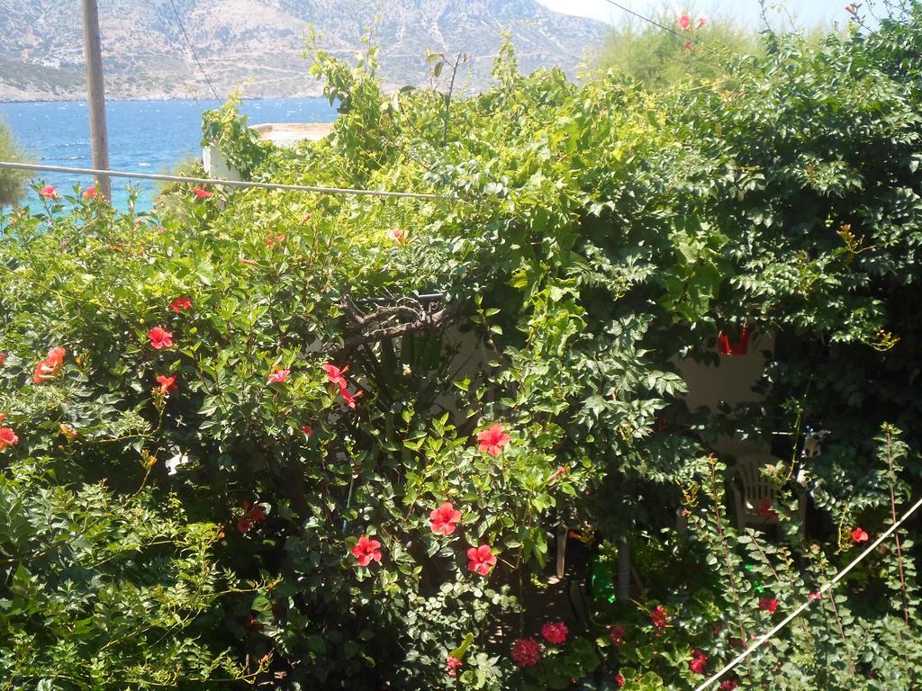 Costareli Aparthotel Fourni Ikarias Exterior foto